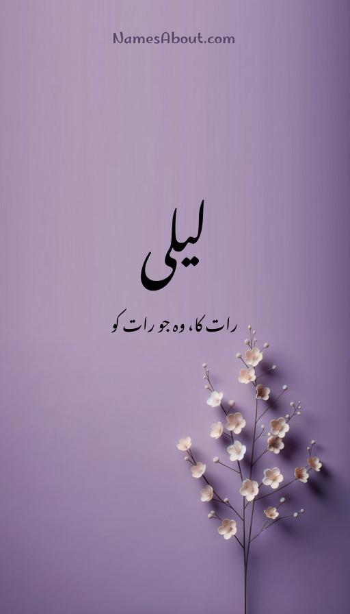 لیلی