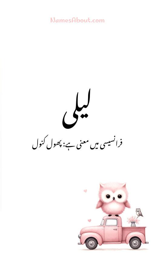 لیلی