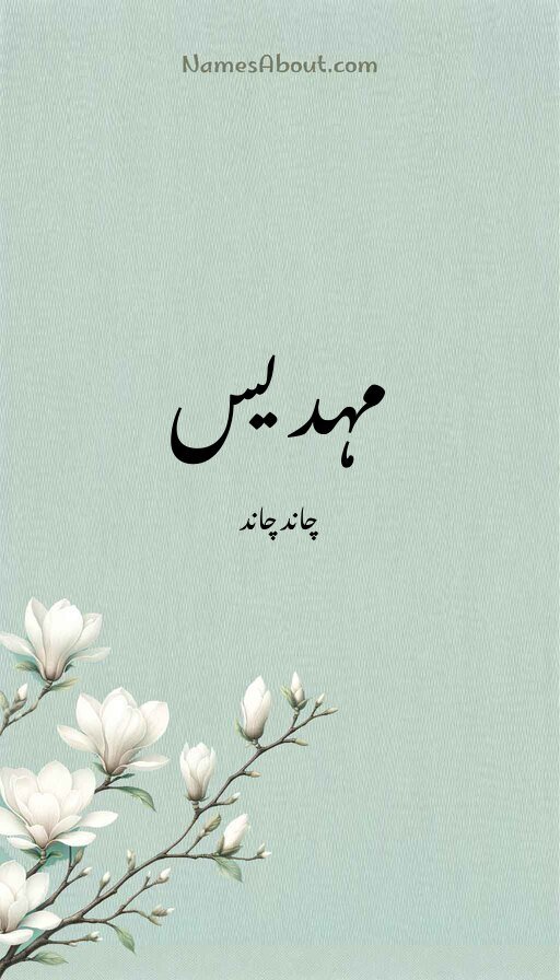 مہدیس
