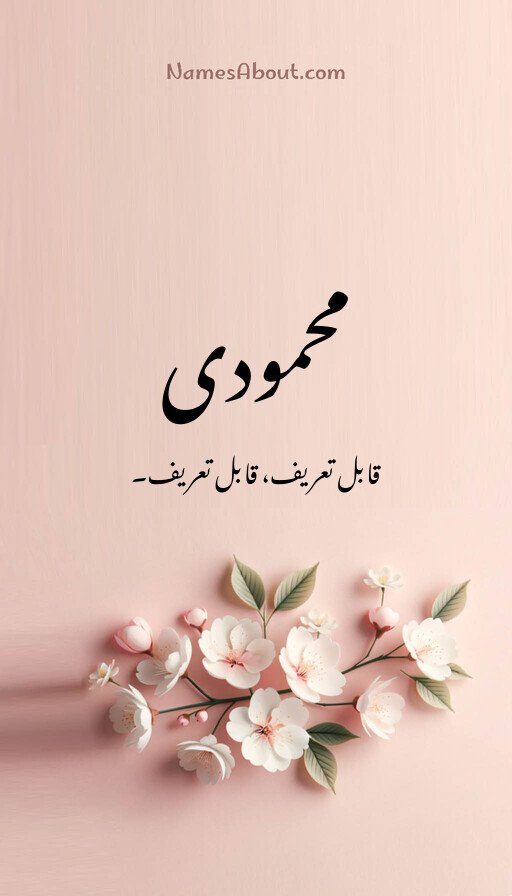 محمودی