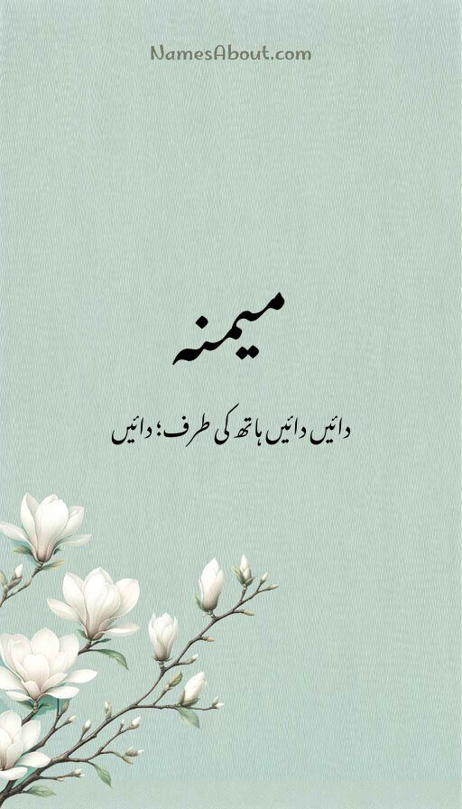 میمنہ
