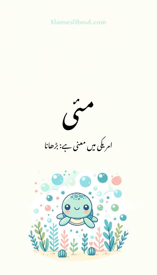 مئی