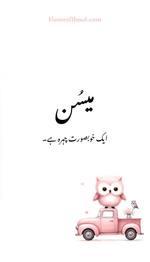 میسُن