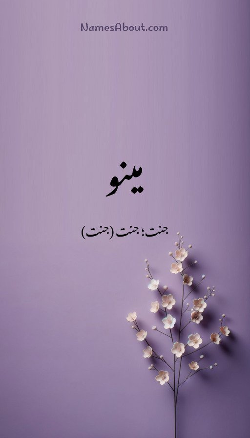 مینو