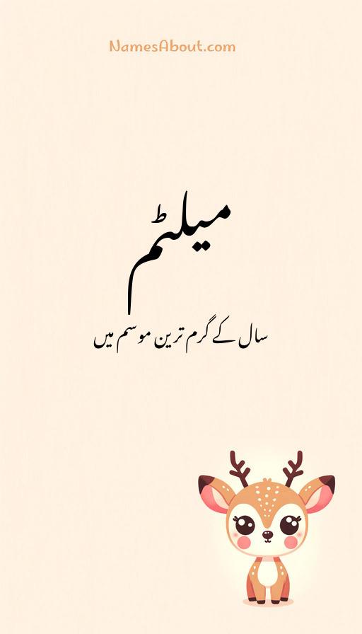 میلٹم