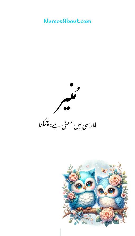 مُنیر