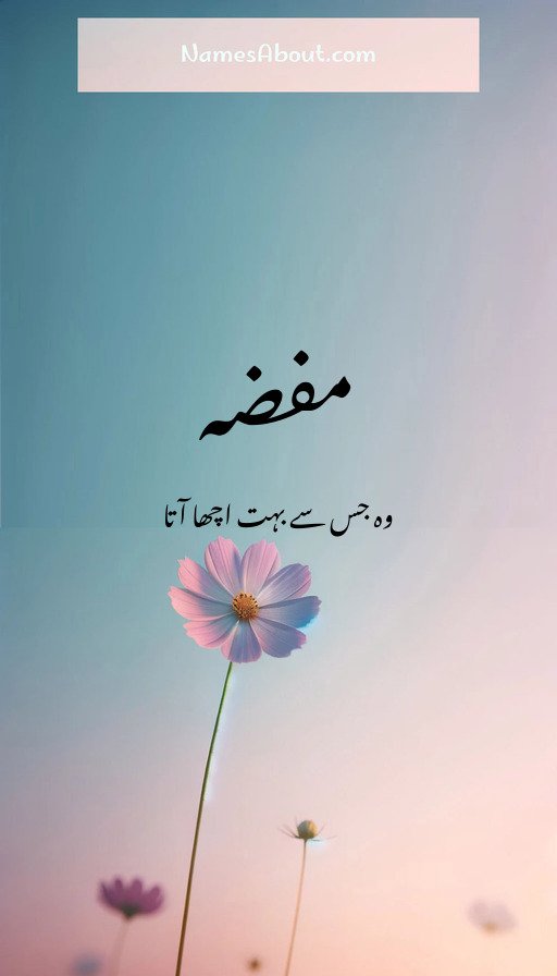 مفضہ