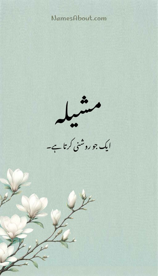 مشیلہ