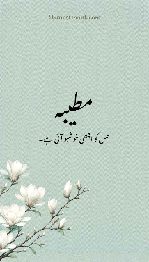 مطیبہ