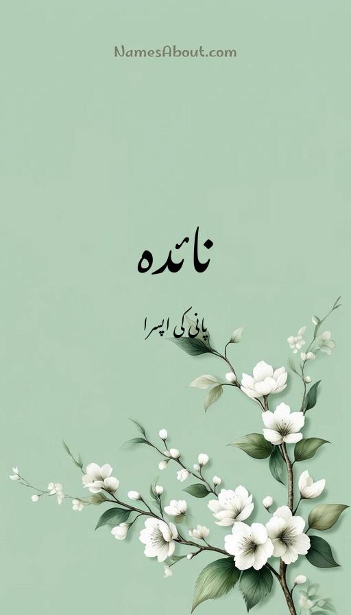 نائدہ