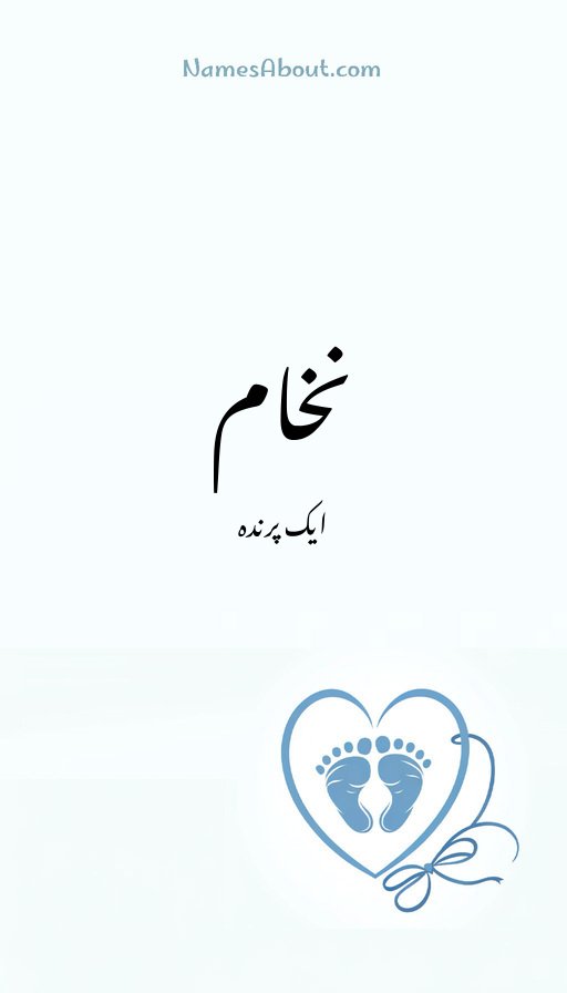 نخام