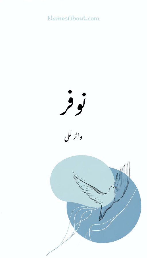 نوفر