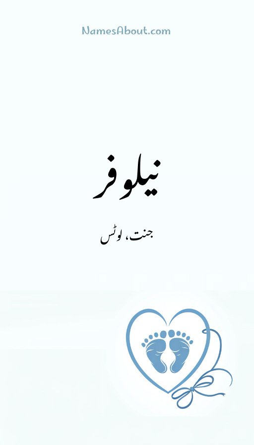 نیلوفر