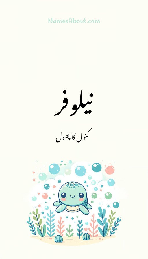 نیلوفر