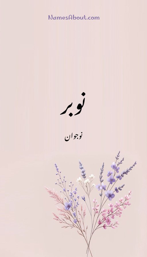 نوبر