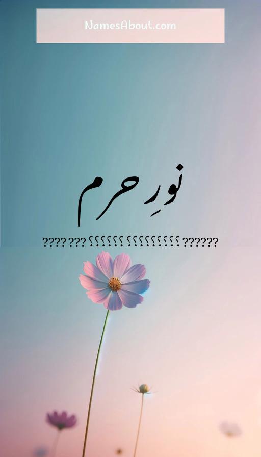 نورِ حرم