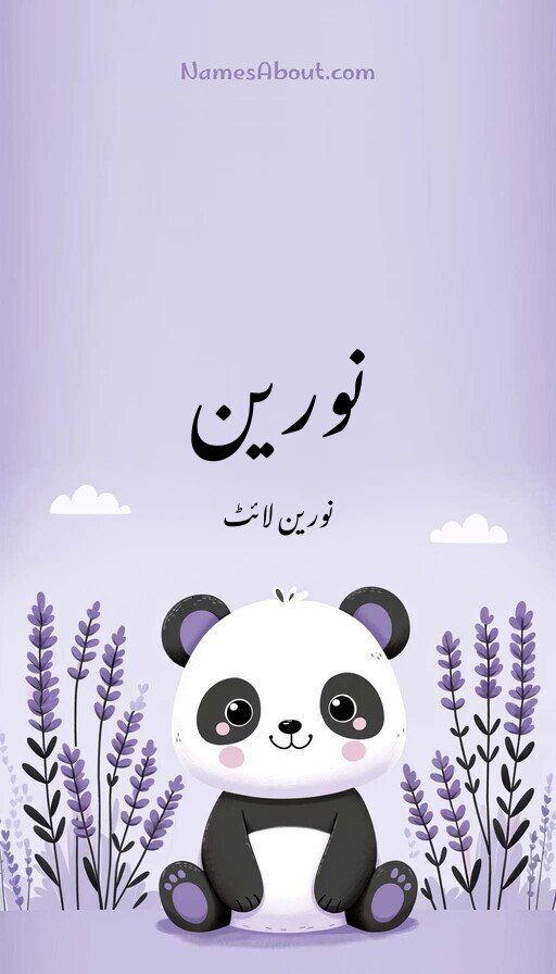 نورین