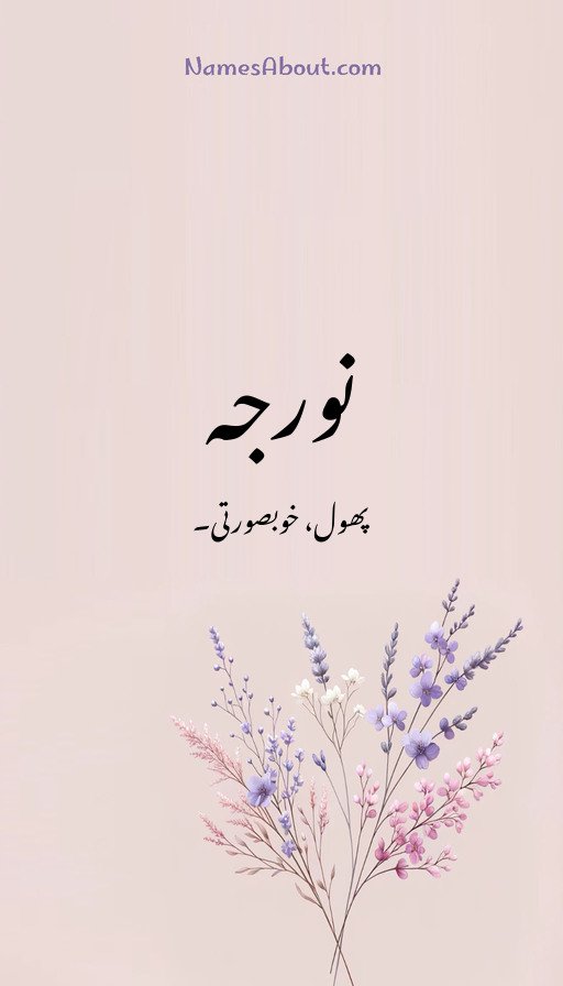 نورجہ