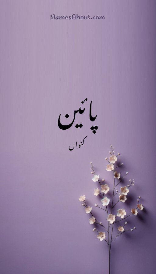 پائین