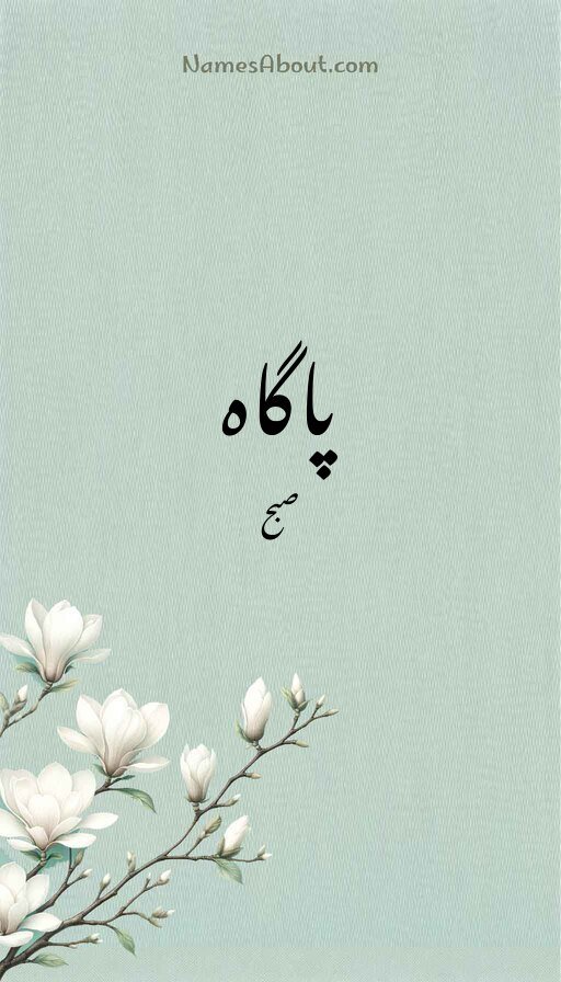 پاگاہ