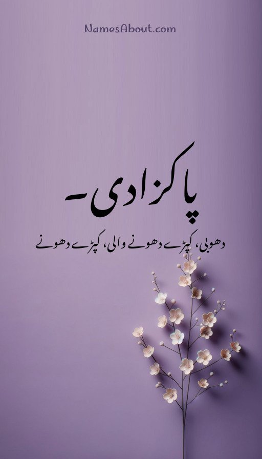 پاکزادی۔