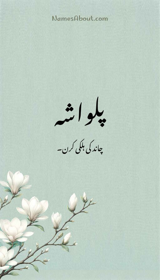 پلواشہ