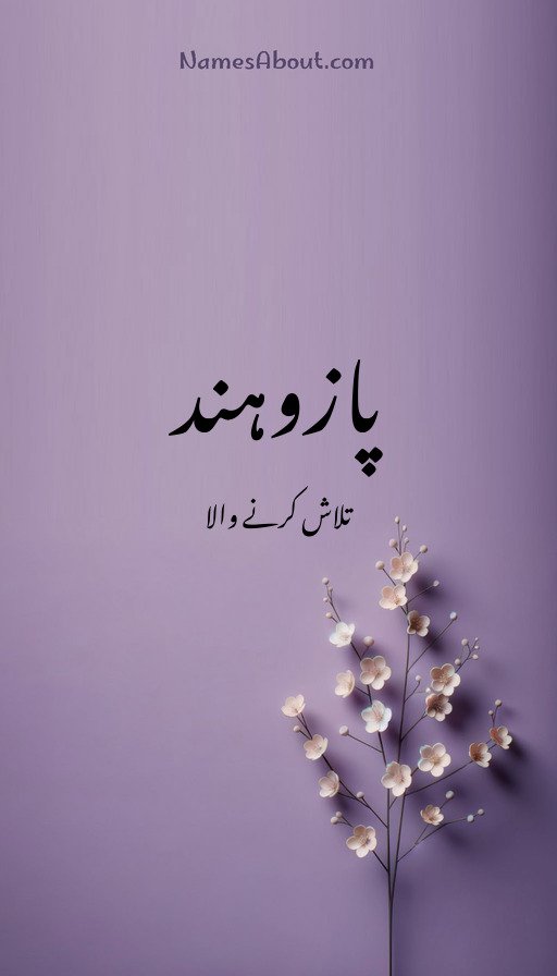 پازوہند