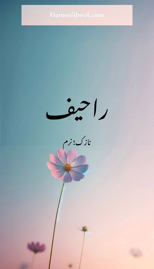 راحیف