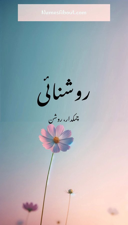 روشنائی