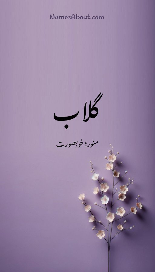 گلاب