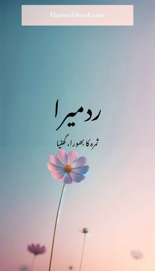 ردمیرا