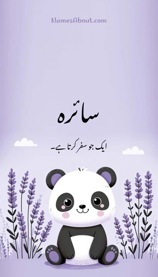 سائرہ