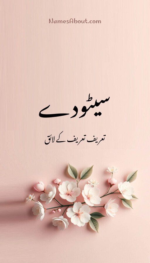 سیٹودے