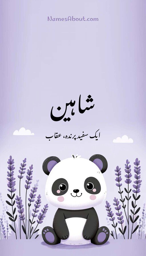 شاہین