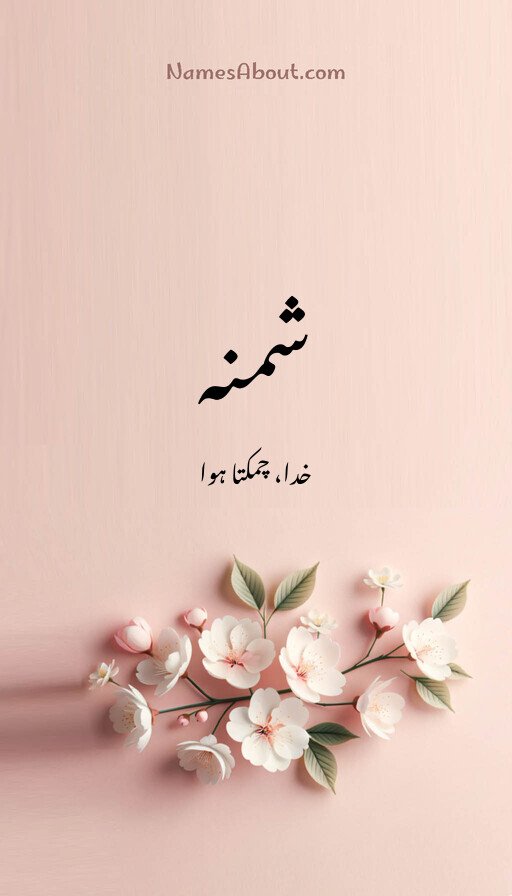 شمنہ