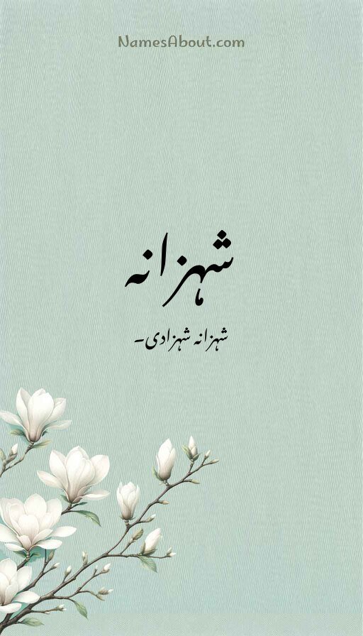 شہزانہ