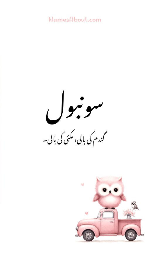 سونبول