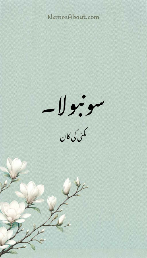سونبولا۔