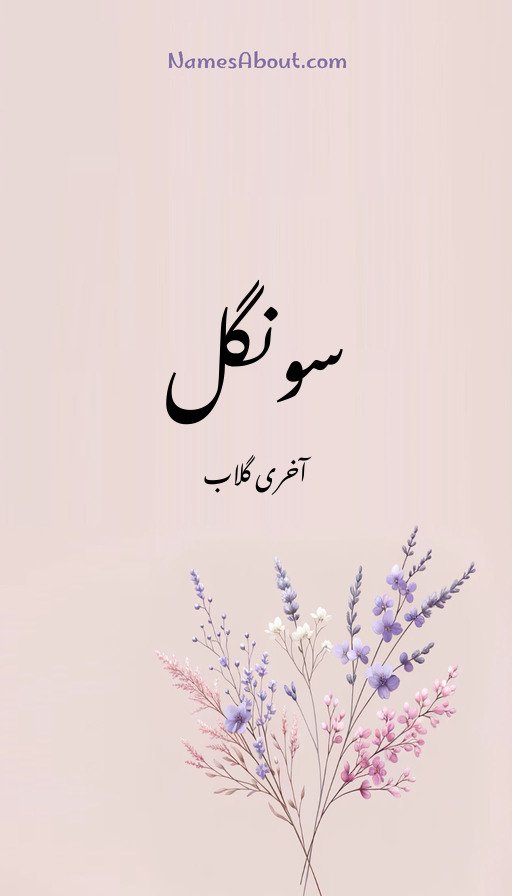 سونگل