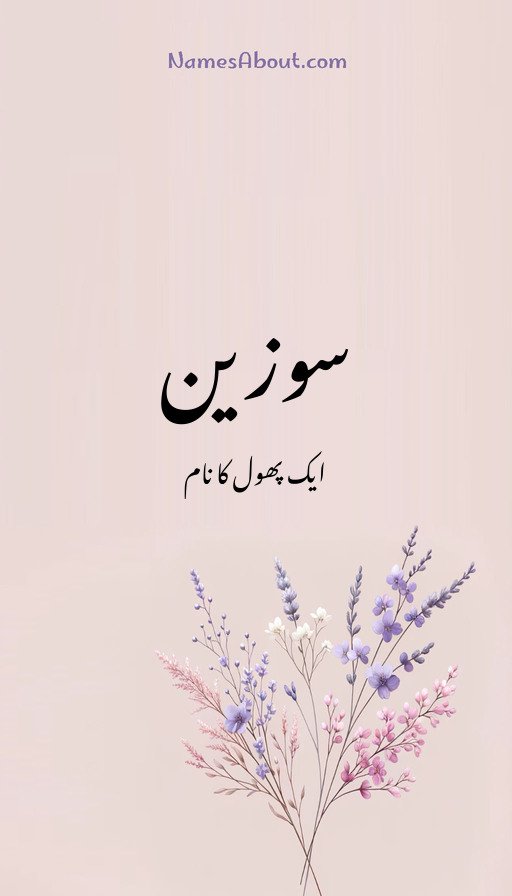 سوزین