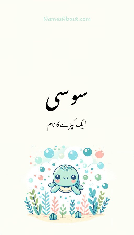 سوسی