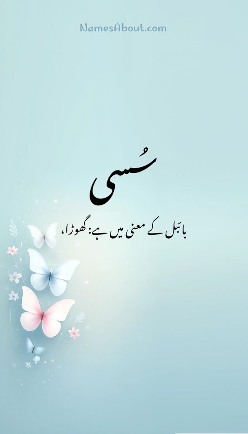 سُسی