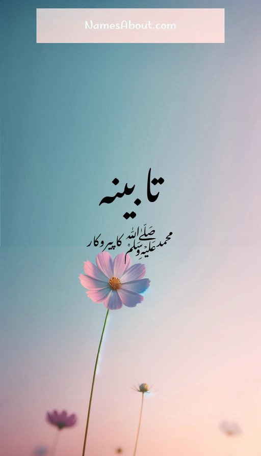 تابینہ