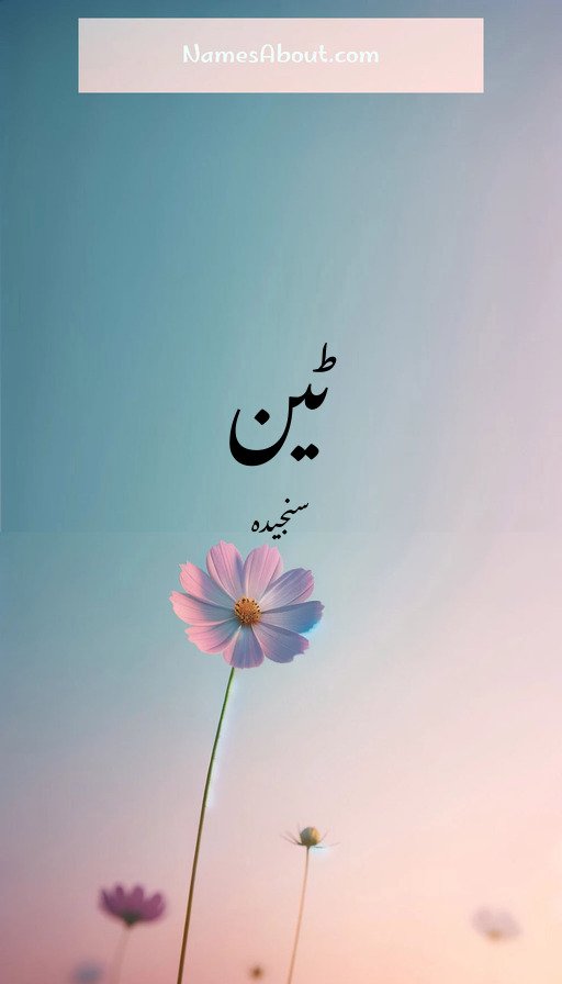 ٹین