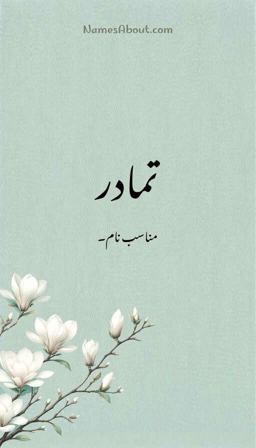 تمادر