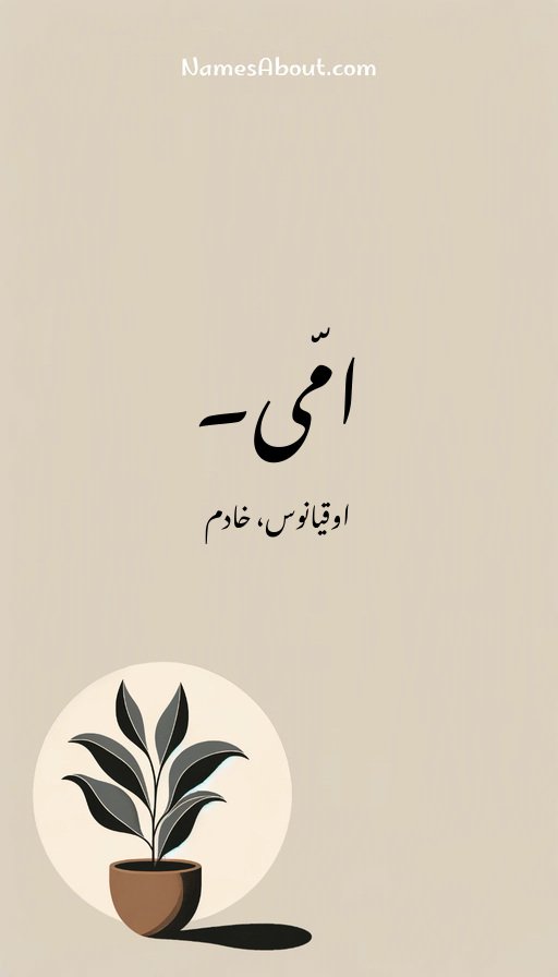 امّی۔