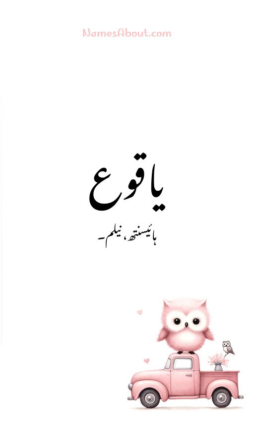 یاقوع
