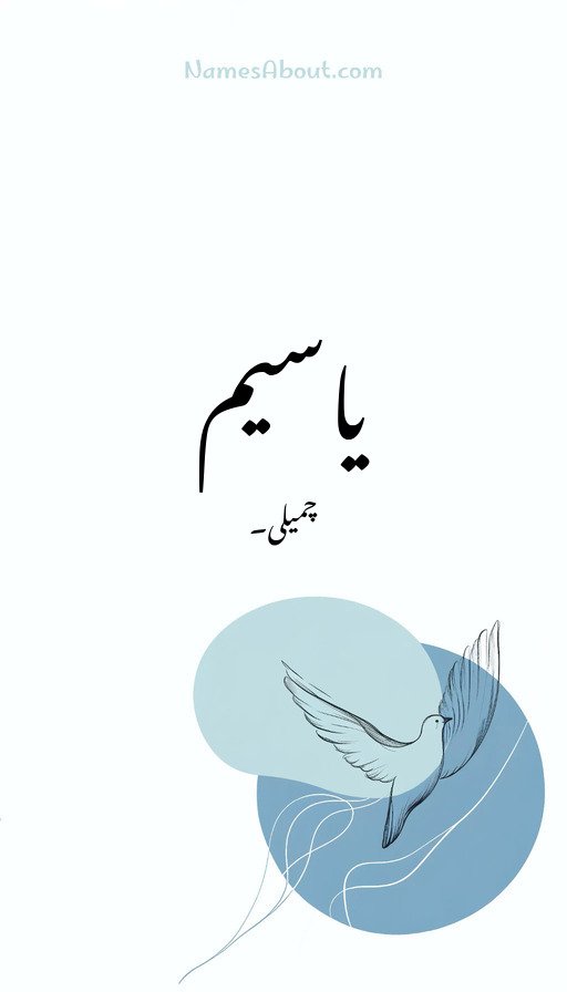 یاسیم