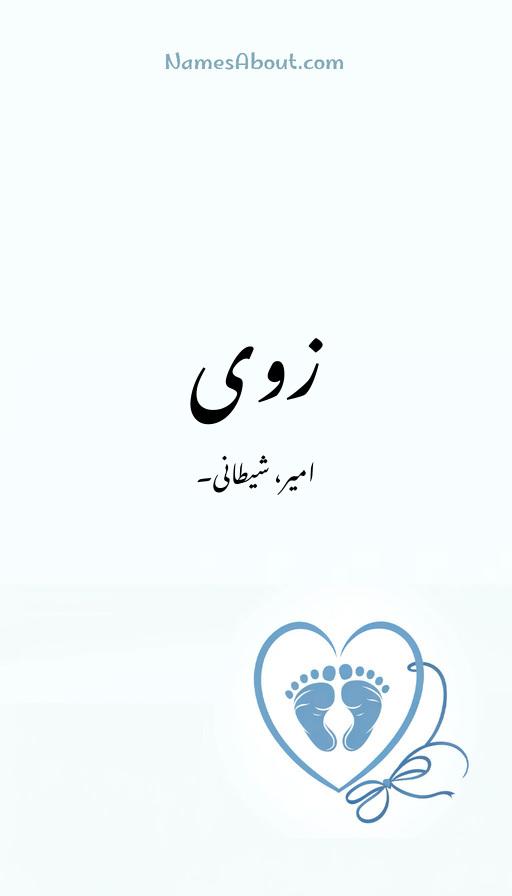 زوی