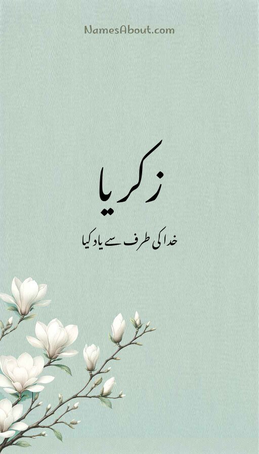 زکریا